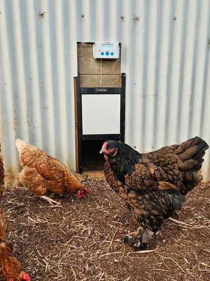 Safe Coop® automatic chicken door