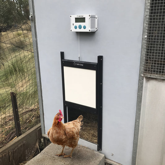 Safe Coop® automatic chicken door with an auto locking door. 