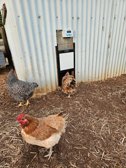 Safe Coop® automatic chicken door