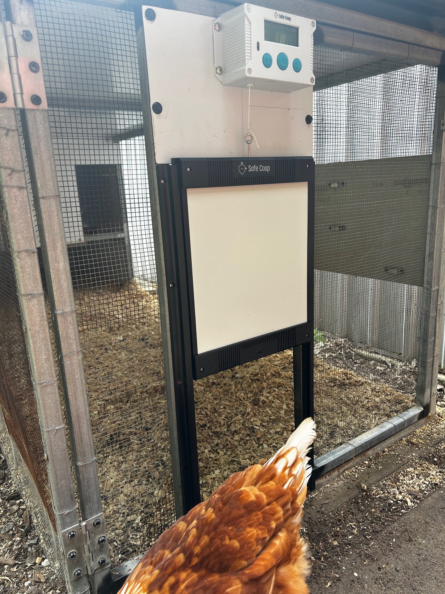 Safe Coop® automatic chicken door