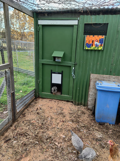 Safe Coop® automatic chicken door