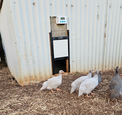 Safe Coop® automatic chicken door